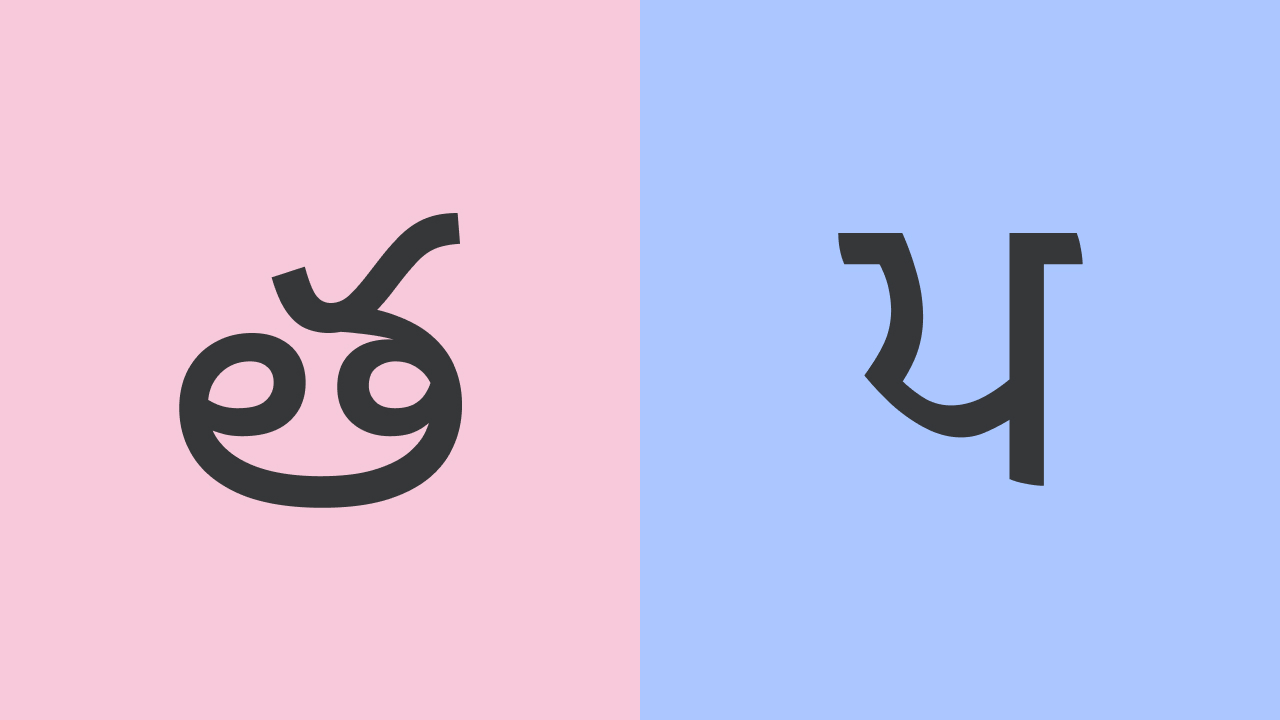 Telugu to Punjabi Translation Benchmark Dataset